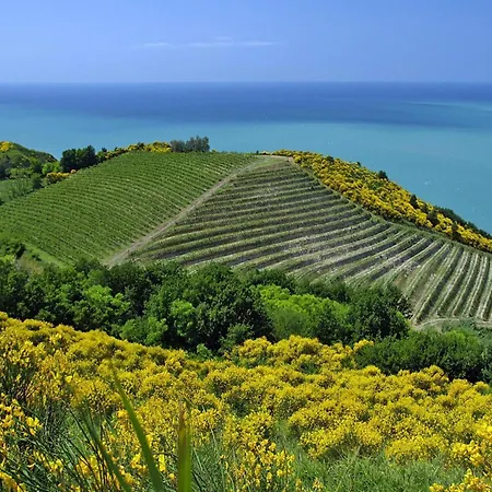 Casa Mare Vallugola Di Gabicce, Vallugola * Castel di Mezzo