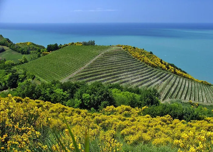 Casa Mare Vallugola Di Gabicce, Vallugola * Castel di Mezzo